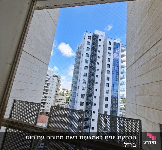 רשת יונים מותקנת על חלון עם נוף לבניינים